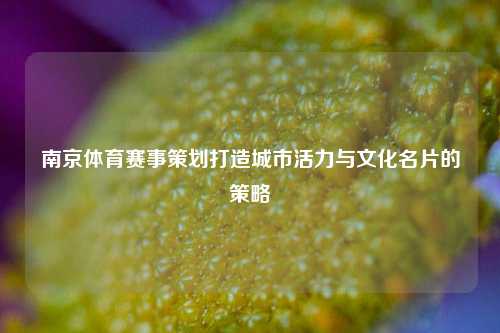 南京体育赛事策划打造城市活力与文化名片的策略