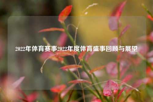 2022年体育赛事2022年度体育盛事回顾与展望