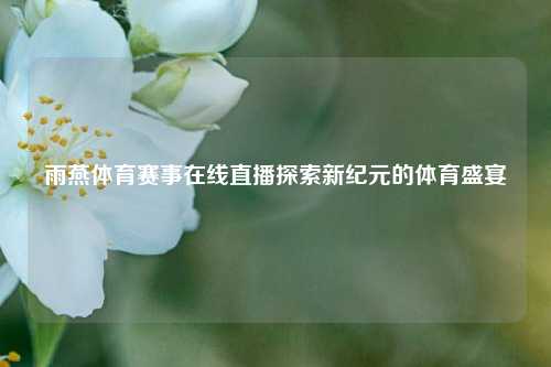 雨燕体育赛事在线直播探索新纪元的体育盛宴