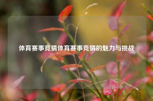 体育赛事竞猜体育赛事竞猜的魅力与挑战