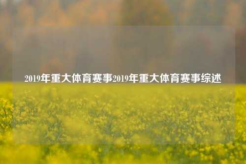 2019年重大体育赛事2019年重大体育赛事综述