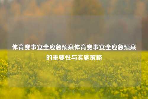 体育赛事安全应急预案体育赛事安全应急预案的重要性与实施策略