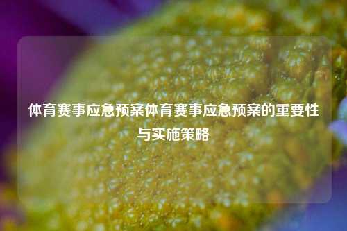 体育赛事应急预案体育赛事应急预案的重要性与实施策略