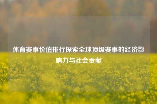 体育赛事价值排行探索全球顶级赛事的经济影响力与社会贡献