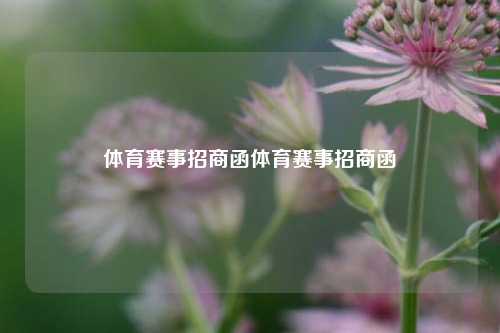 体育赛事招商函体育赛事招商函