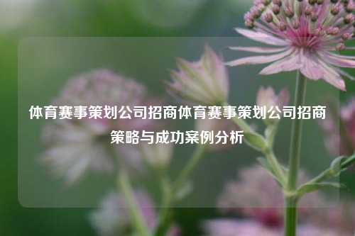 体育赛事策划公司招商体育赛事策划公司招商策略与成功案例分析
