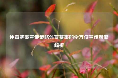 体育赛事宣传策略体育赛事的全方位宣传策略解析