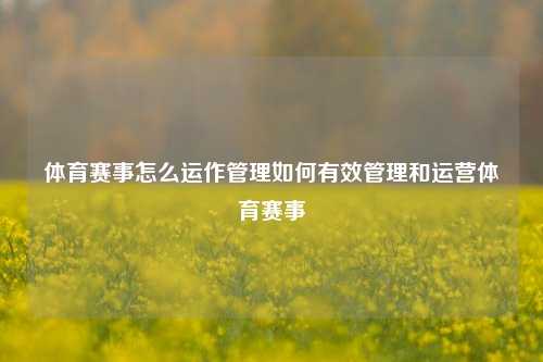 体育赛事怎么运作管理如何有效管理和运营体育赛事
