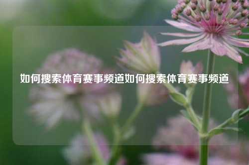 如何搜索体育赛事频道如何搜索体育赛事频道