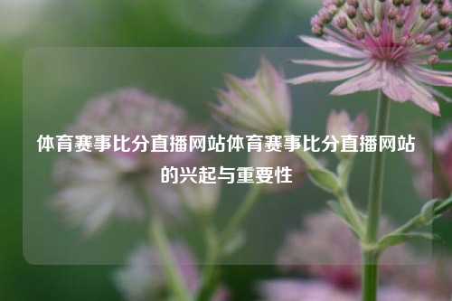 体育赛事比分直播网站体育赛事比分直播网站的兴起与重要性