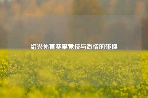 绍兴体育赛事竞技与激情的碰撞