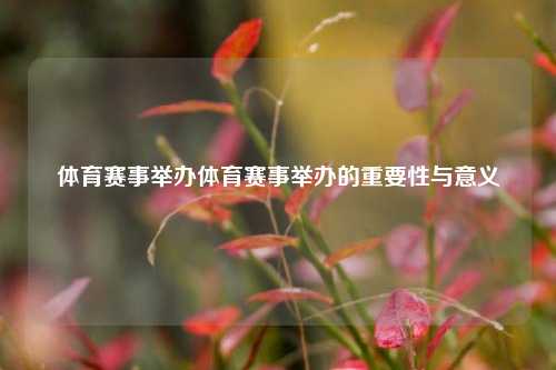体育赛事举办体育赛事举办的重要性与意义