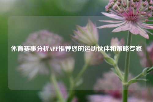 体育赛事分析APP推荐您的运动伙伴和策略专家