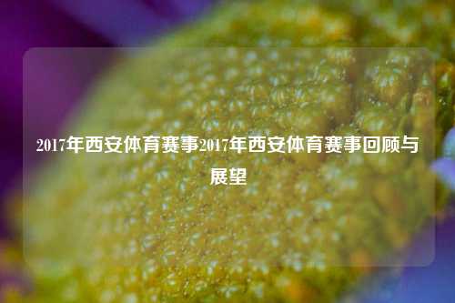 2017年西安体育赛事2017年西安体育赛事回顾与展望