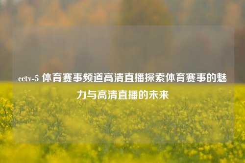 cctv-5 体育赛事频道高清直播探索体育赛事的魅力与高清直播的未来