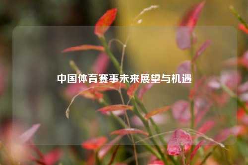 中国体育赛事未来展望与机遇