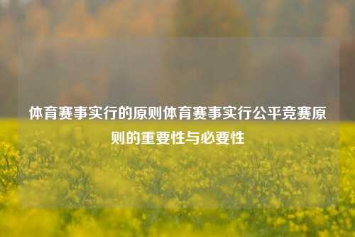 体育赛事实行的原则体育赛事实行公平竞赛原则的重要性与必要性