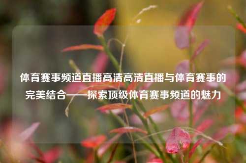 体育赛事频道直播高清高清直播与体育赛事的完美结合——探索顶级体育赛事频道的魅力