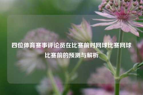 四位体育赛事评论员在比赛前对网球比赛网球比赛前的预测与解析