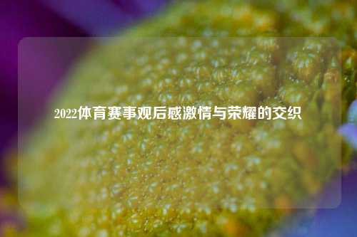 2022体育赛事观后感激情与荣耀的交织