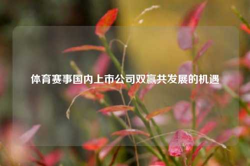 体育赛事国内上市公司双赢共发展的机遇