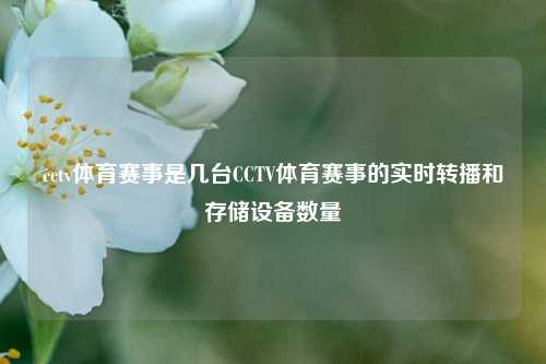 cctv体育赛事是几台CCTV体育赛事的实时转播和存储设备数量