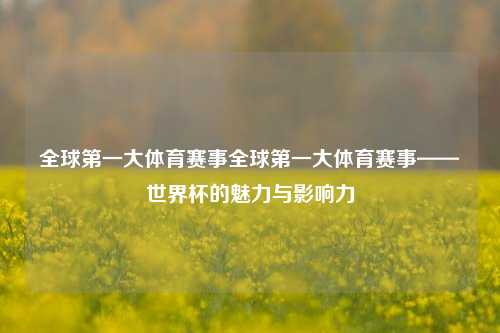 全球第一大体育赛事全球第一大体育赛事——世界杯的魅力与影响力