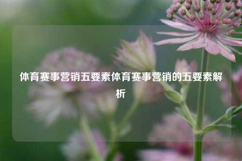 体育赛事营销五要素体育赛事营销的五要素解析