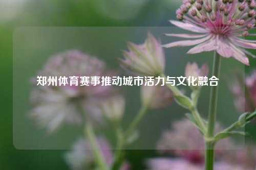 郑州体育赛事推动城市活力与文化融合