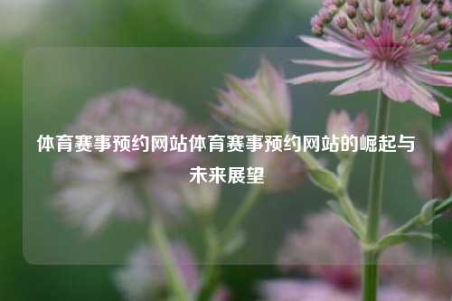 体育赛事预约网站体育赛事预约网站的崛起与未来展望