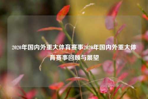 2020年国内外重大体育赛事2020年国内外重大体育赛事回顾与展望