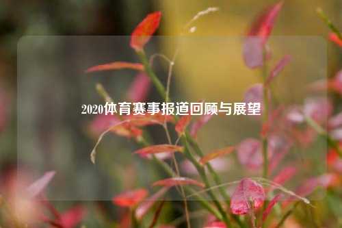 2020体育赛事报道回顾与展望