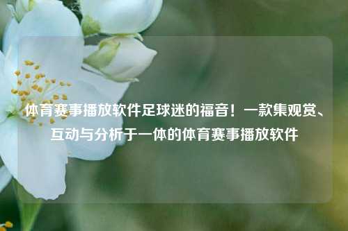 体育赛事播放软件足球迷的福音！一款集观赏、互动与分析于一体的体育赛事播放软件