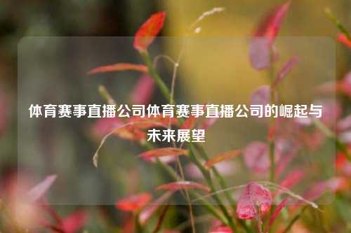 体育赛事直播公司体育赛事直播公司的崛起与未来展望