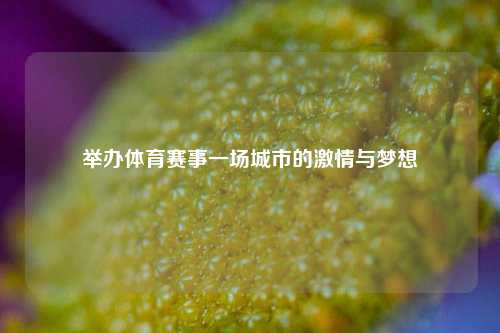举办体育赛事一场城市的激情与梦想