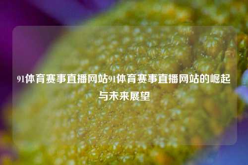 91体育赛事直播网站91体育赛事直播网站的崛起与未来展望