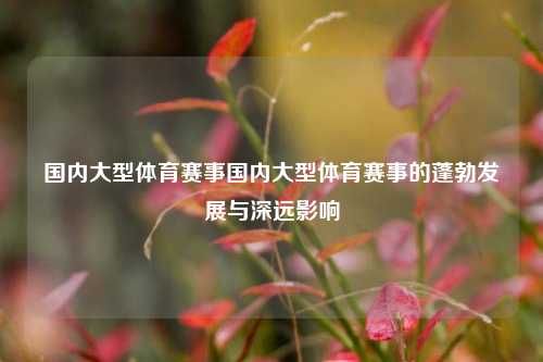 国内大型体育赛事国内大型体育赛事的蓬勃发展与深远影响
