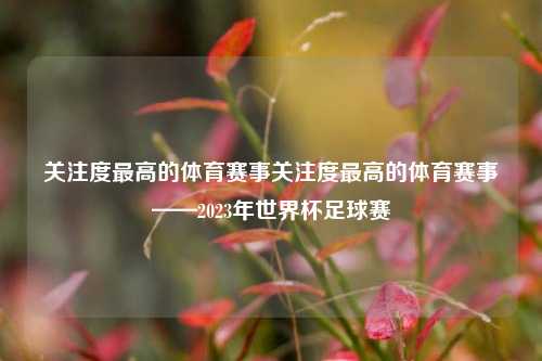 关注度最高的体育赛事关注度最高的体育赛事——2023年世界杯足球赛
