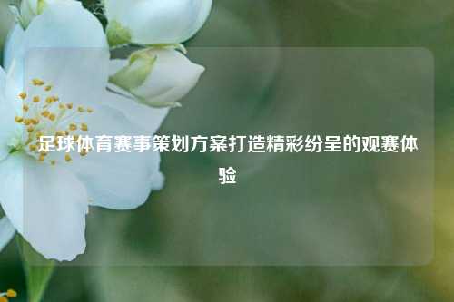 足球体育赛事策划方案打造精彩纷呈的观赛体验