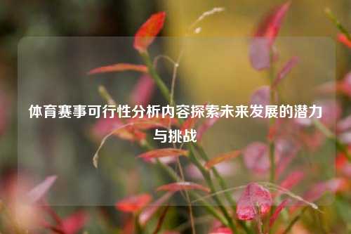 体育赛事可行性分析内容探索未来发展的潜力与挑战