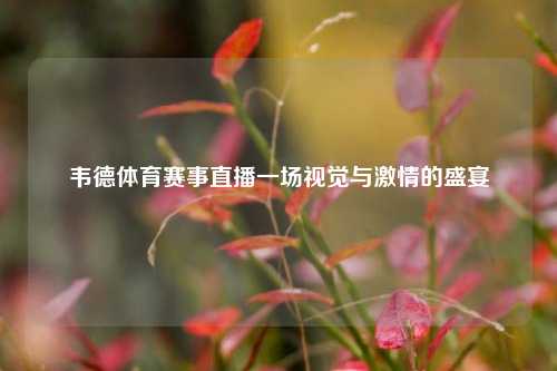 韦德体育赛事直播一场视觉与激情的盛宴