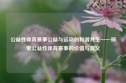公益性体育赛事公益与运动的和谐共生——探索公益性体育赛事的价值与意义