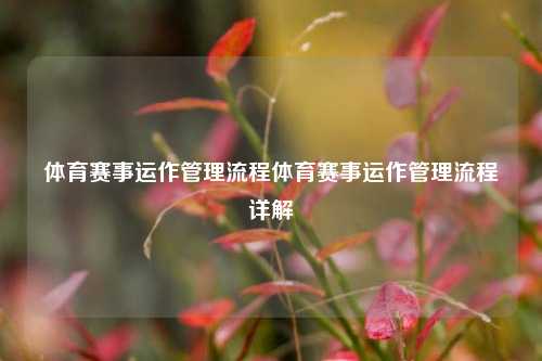 体育赛事运作管理流程体育赛事运作管理流程详解