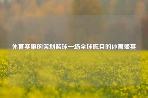体育赛事的策划篮球一场全球瞩目的体育盛宴