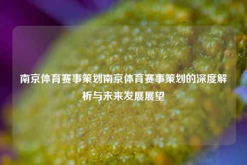 南京体育赛事策划南京体育赛事策划的深度解析与未来发展展望