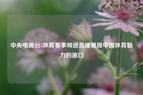 中央电视台5体育赛事频道直播展现中国体育魅力的窗口