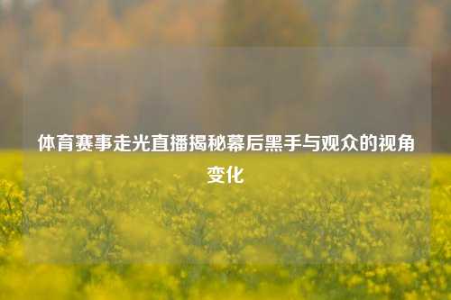 体育赛事走光直播揭秘幕后黑手与观众的视角变化