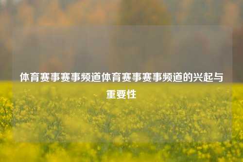 体育赛事赛事频道体育赛事赛事频道的兴起与重要性