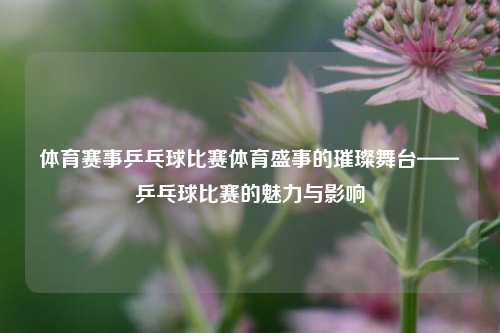 体育赛事乒乓球比赛体育盛事的璀璨舞台——乒乓球比赛的魅力与影响