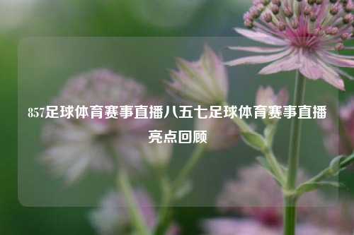 857足球体育赛事直播八五七足球体育赛事直播亮点回顾